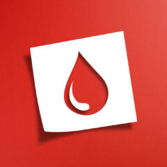 ジビエの美味しさの秘密: 正しい血抜きの手順とその重要性