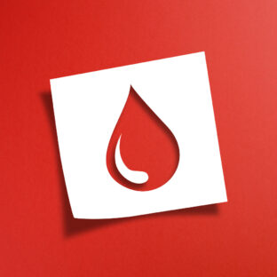 ジビエの美味しさの秘密: 正しい血抜きの手順とその重要性