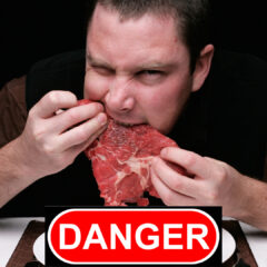 エゾシカとジビエ文化: 食中毒リスクと法的規制