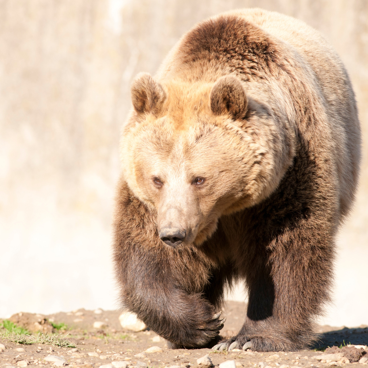 メイン スマホ (3)