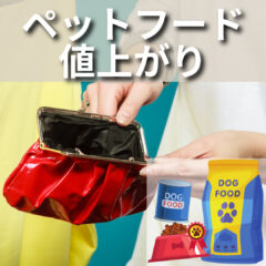 ペットフード価格上昇の背景と解決策：ジビエと無添加フードの可能性