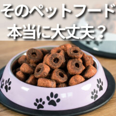 ペットと共に歩む：ペットフード安全法、ジビエ、無添加の選択