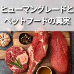愛犬の健康は食事から！ヒューマングレードとペットフードの真実