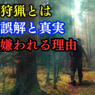 狩猟の誤解と真実：なぜ嫌われるのか、その裏側を探る